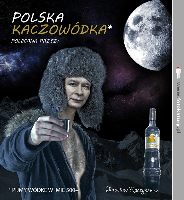 Polska Kaczowódka - PROCENT